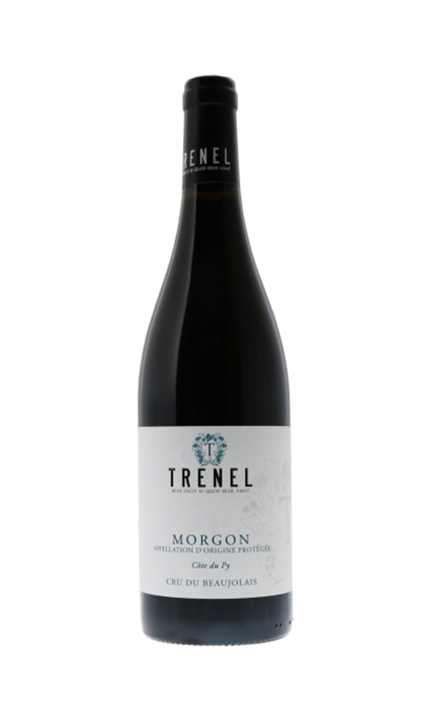 Domaine Trenel Morgon Cote Du Py Gamay 2022