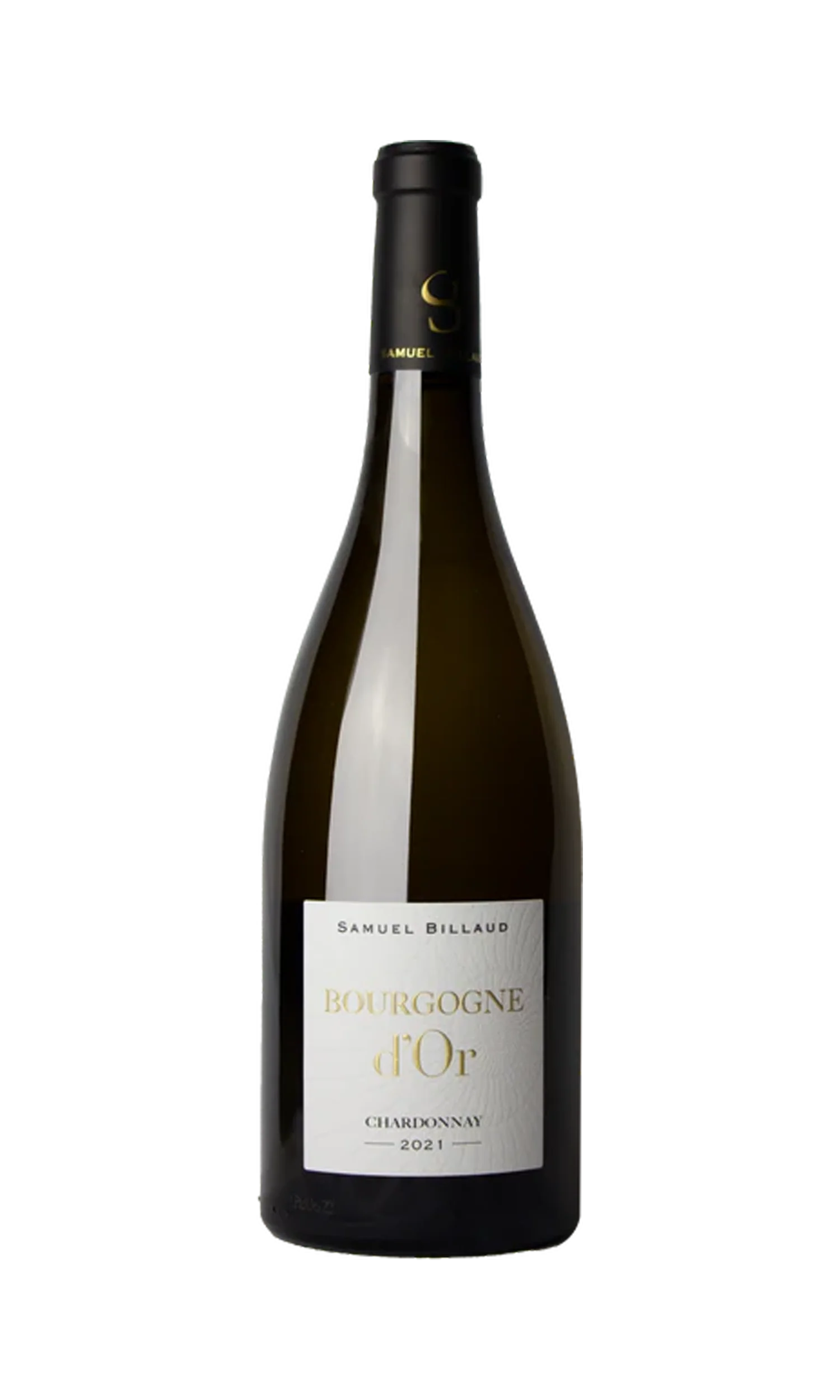 Samuel Billaud Bourgogne D'or 2022